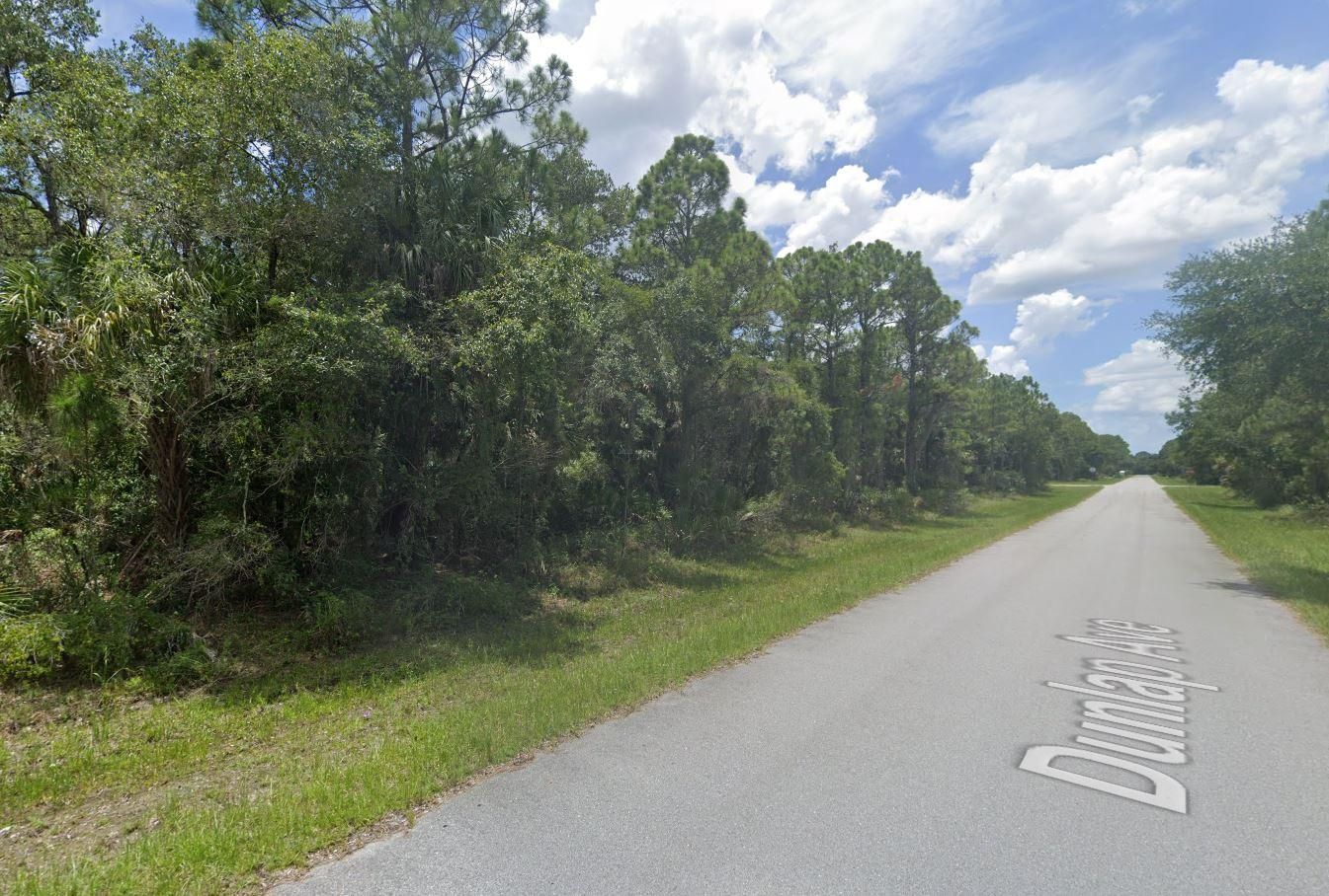 Port Charlotte, Charlotte County, FL Timberland Property, Undeveloped