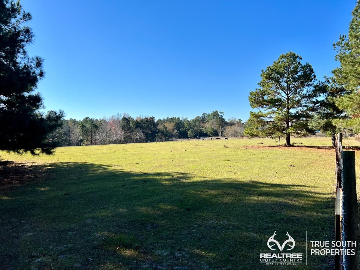 Millen Hiltonia Road, Sylvania, GA 30467 LandWatch