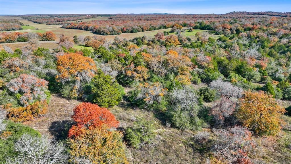 Luling, Caldwell County, TX Farms and Ranches, Undeveloped Land for sale Property ID 418496084