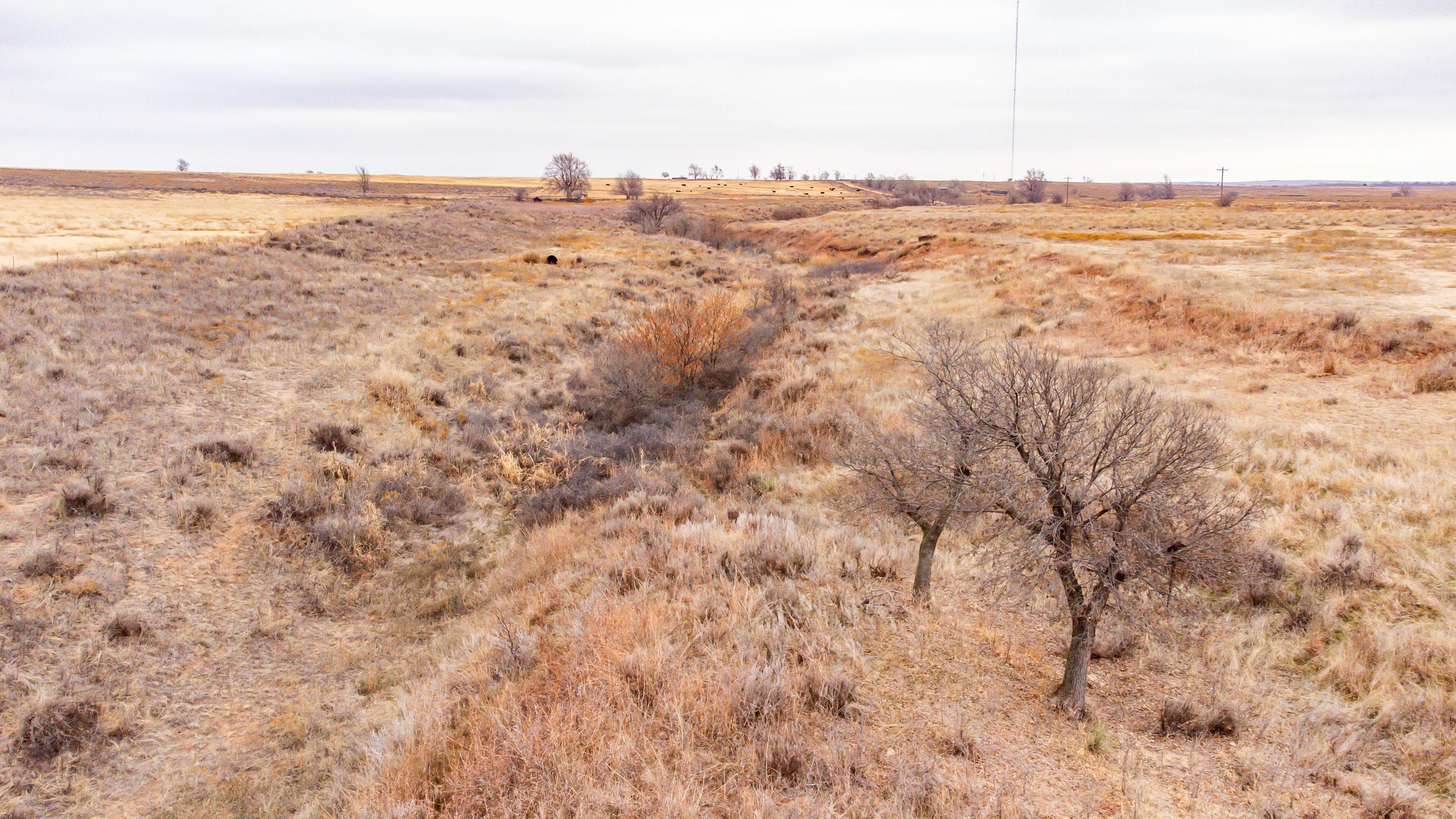 160 acres in Mobeetie, TX, 79061 MLS 238909 LandWatch