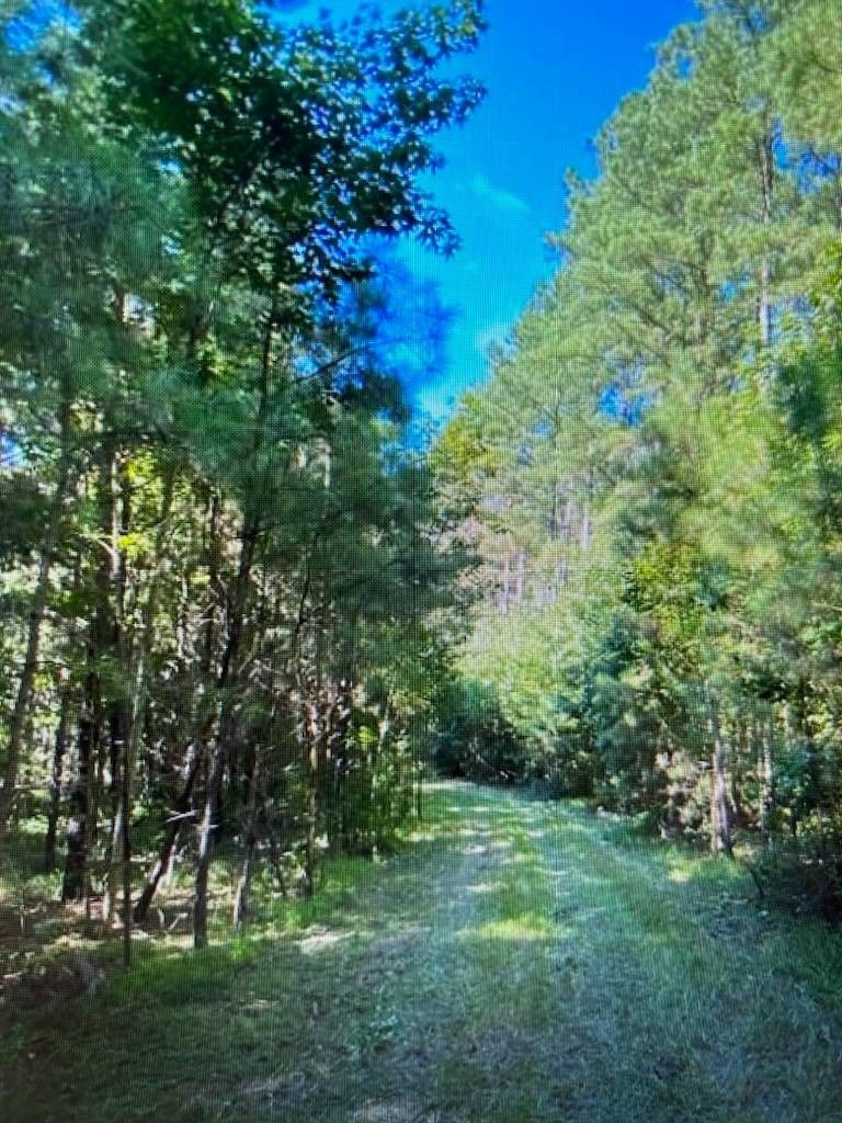 Varnville, Hampton County, SC Undeveloped Land for sale Property ID
