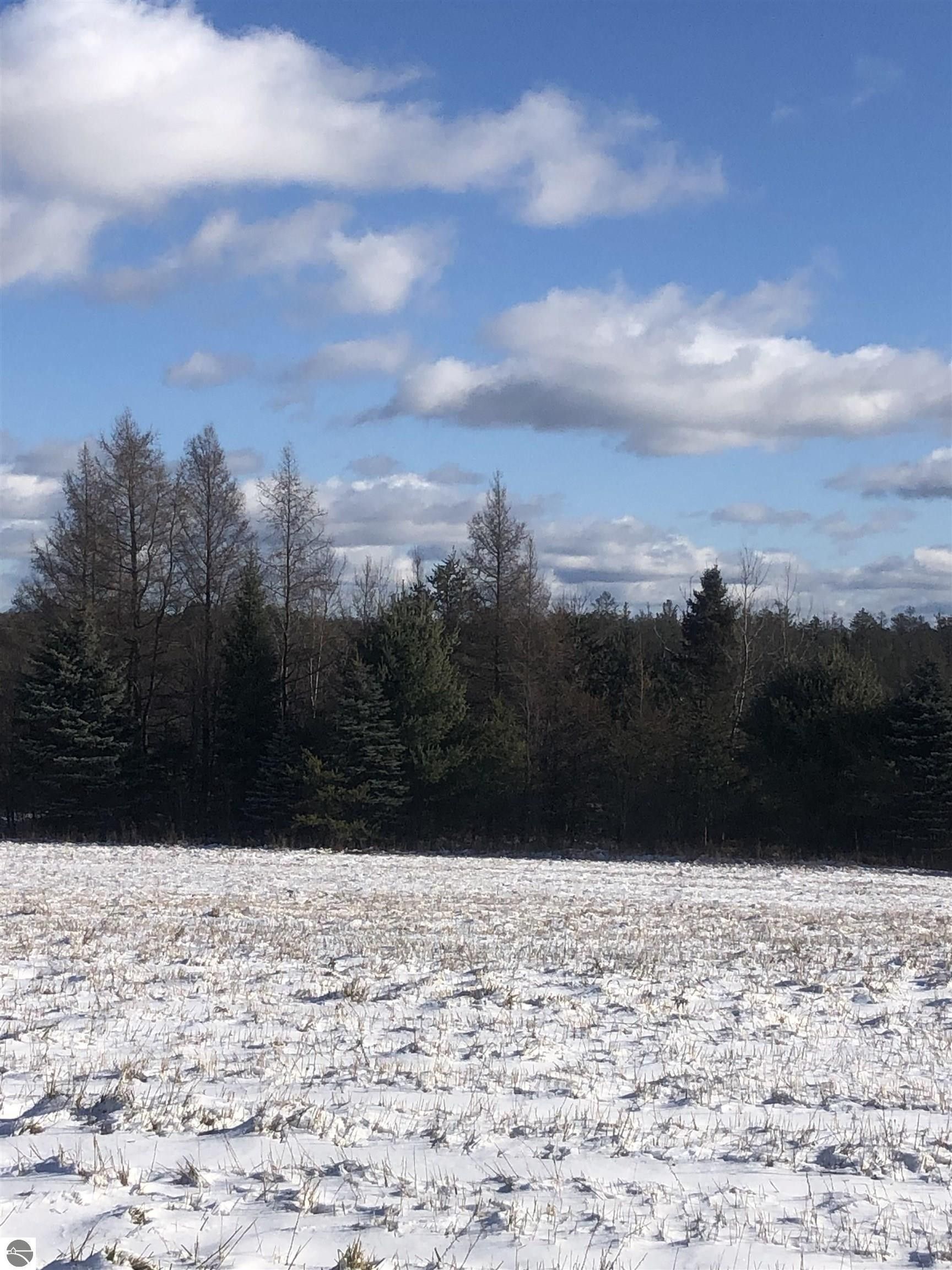 Kalkaska, Kalkaska County, MI Undeveloped Land, Lakefront Property