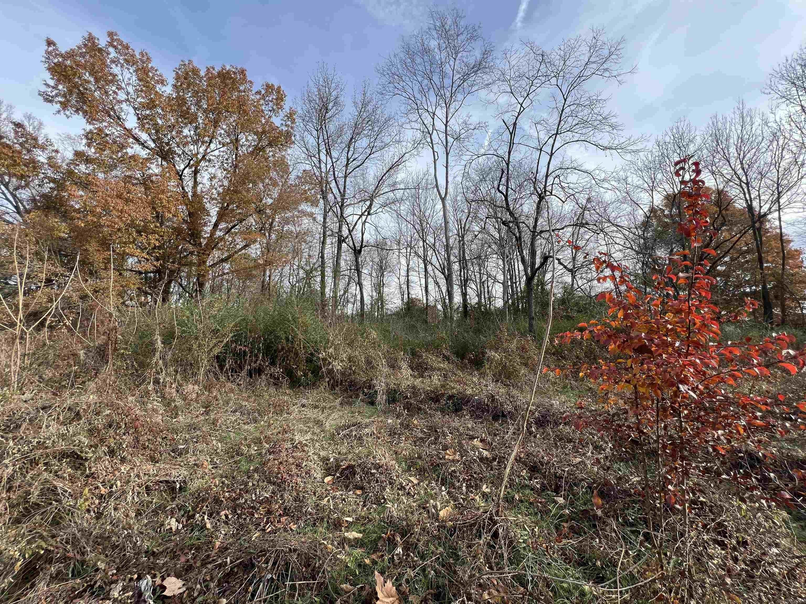 Bald Knob, White County, AR Undeveloped Land, Homesites for sale