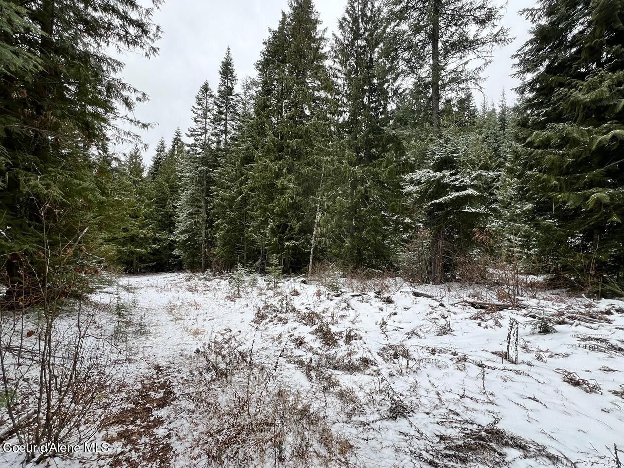 St Maries, Benewah County, ID Undeveloped Land, Homesites for sale