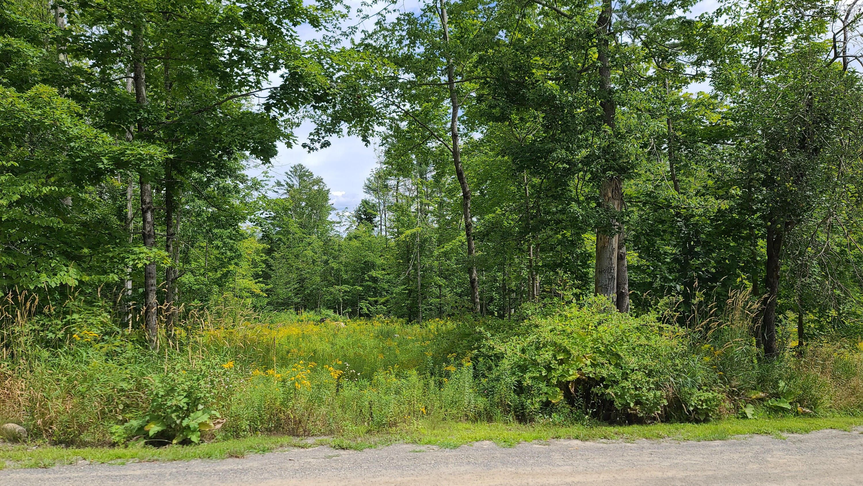 16 Fire Rd 10, Saint Albans, ME 04971 MLS 1540667 LandWatch