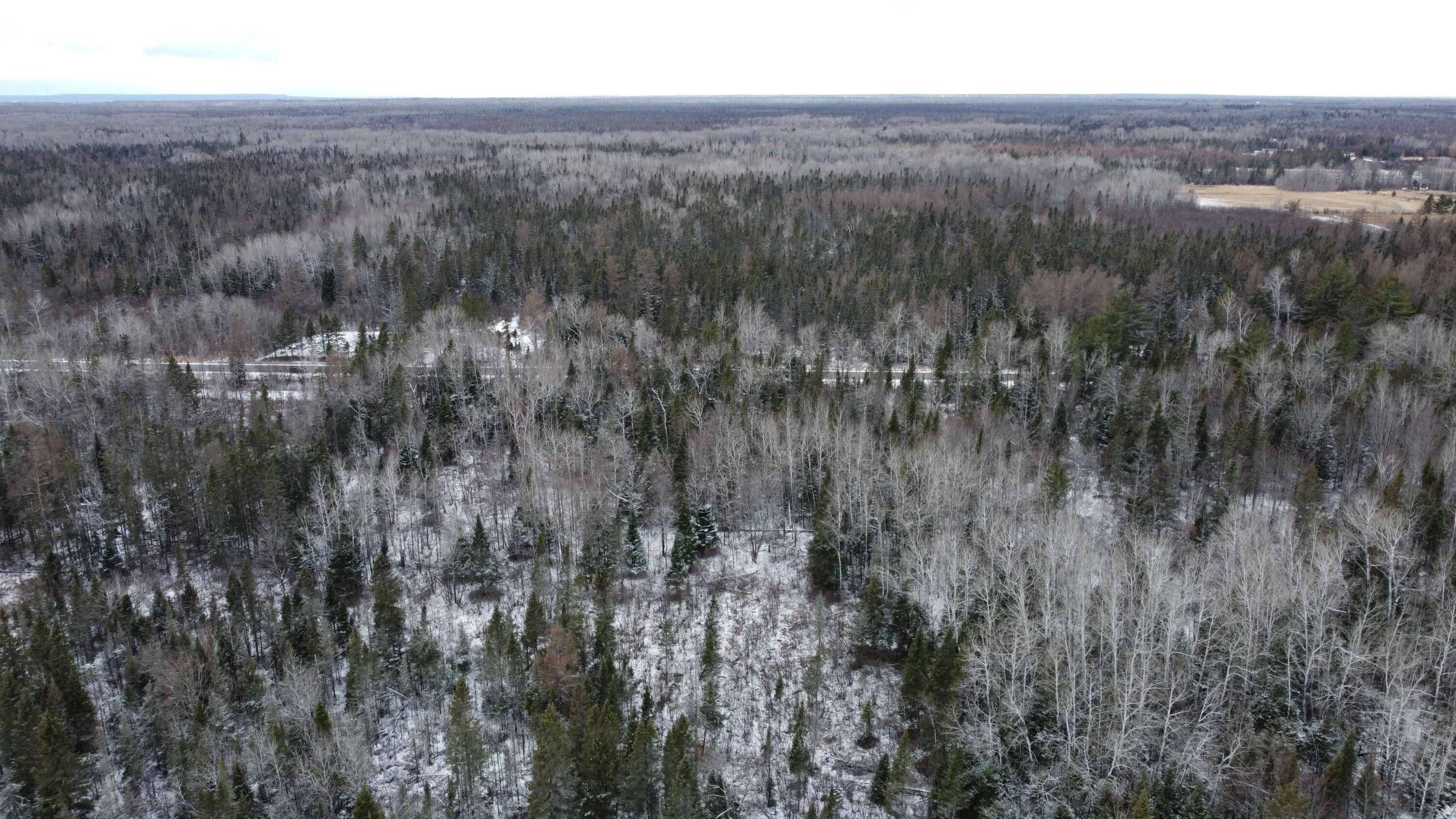 Pickford, Chippewa County, MI Undeveloped Land for sale Property ID