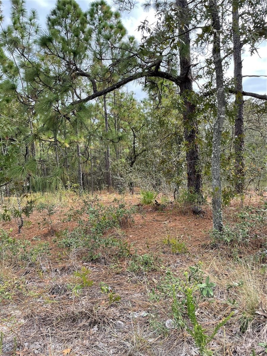 Hudson, Pasco County, FL Undeveloped Land for sale Property ID