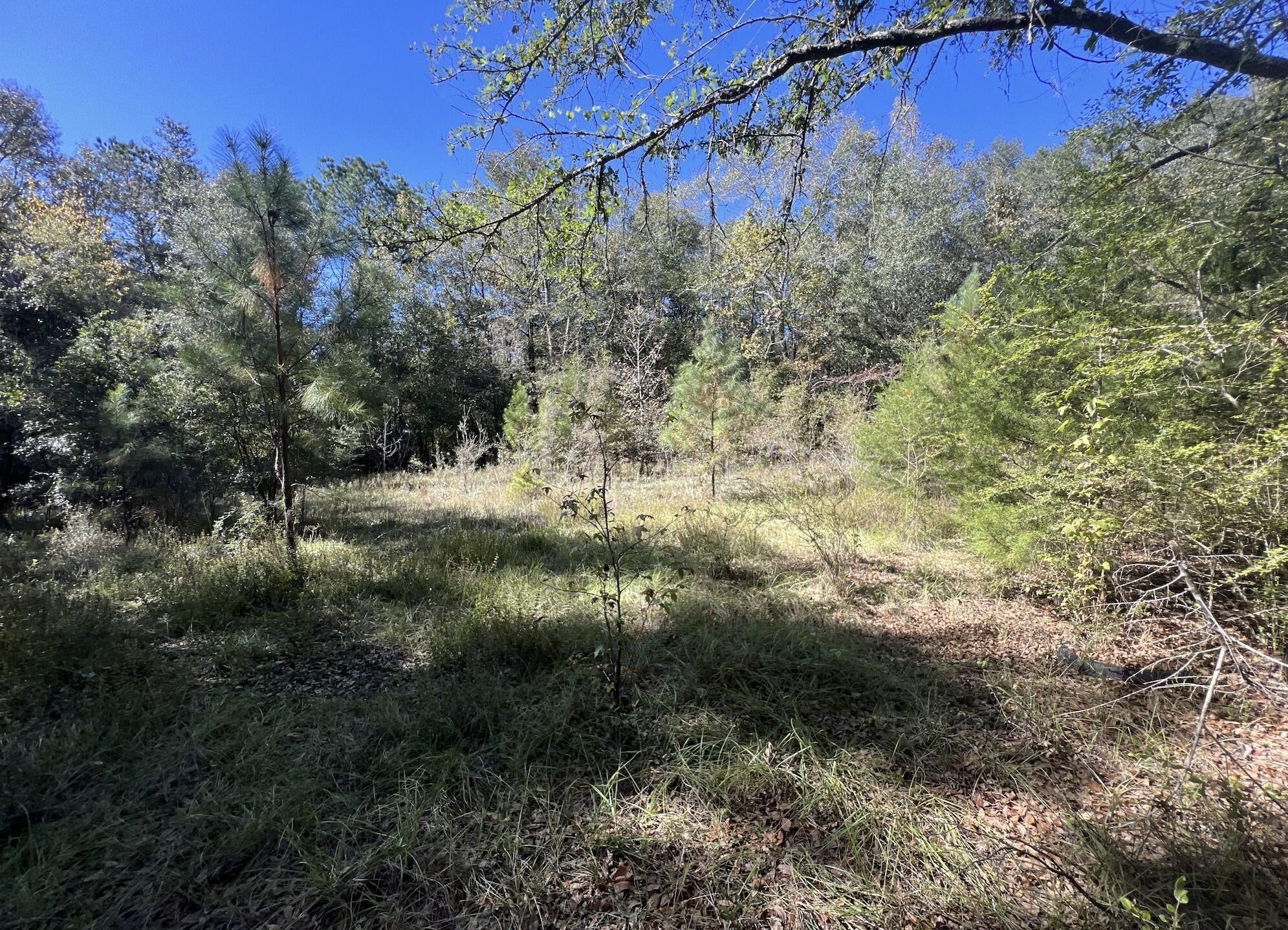 Bonifay, Holmes County, FL Undeveloped Land, Homesites for sale
