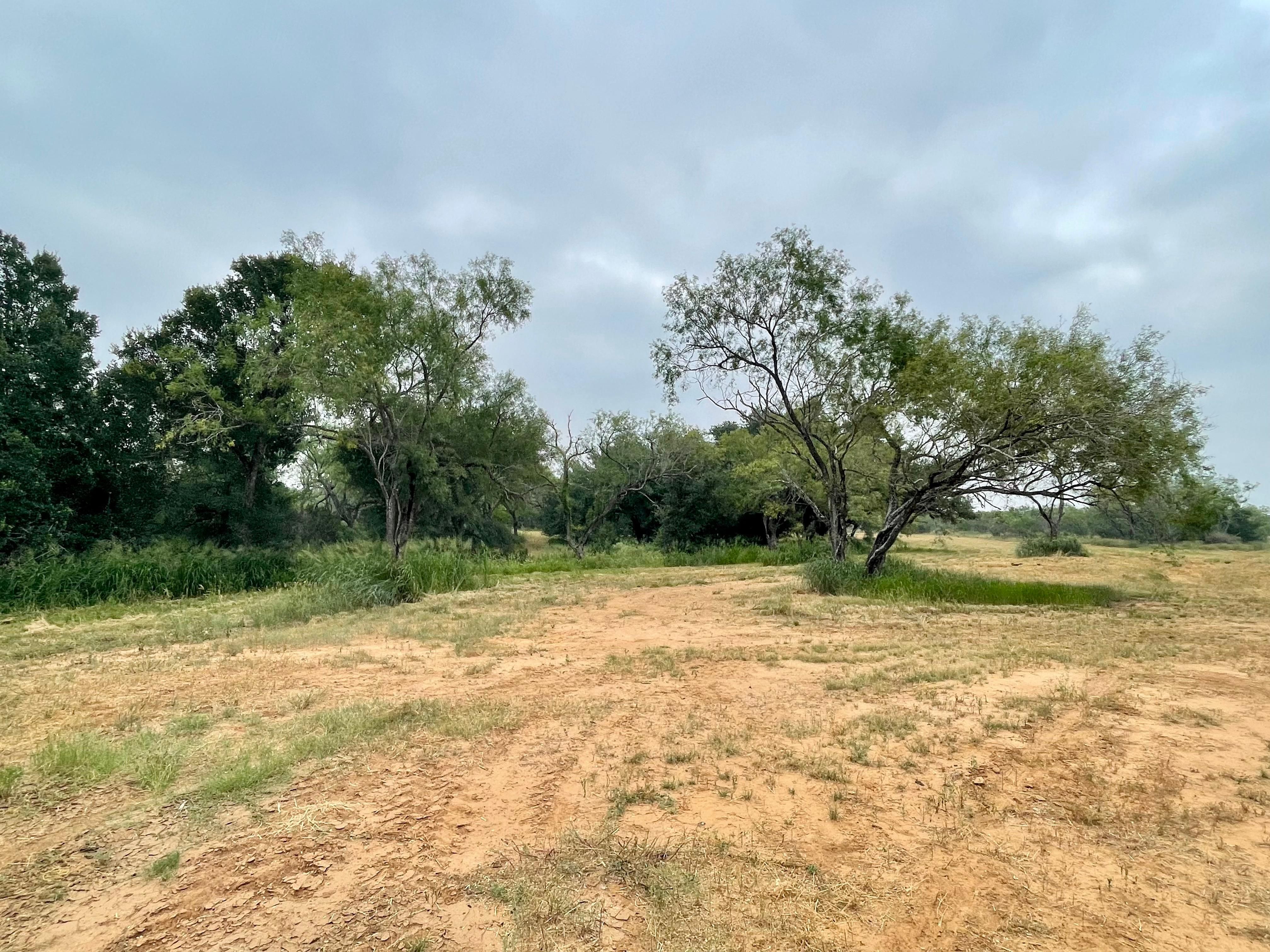 Charlotte, Atascosa County, TX Farms and Ranches, Recreational Property