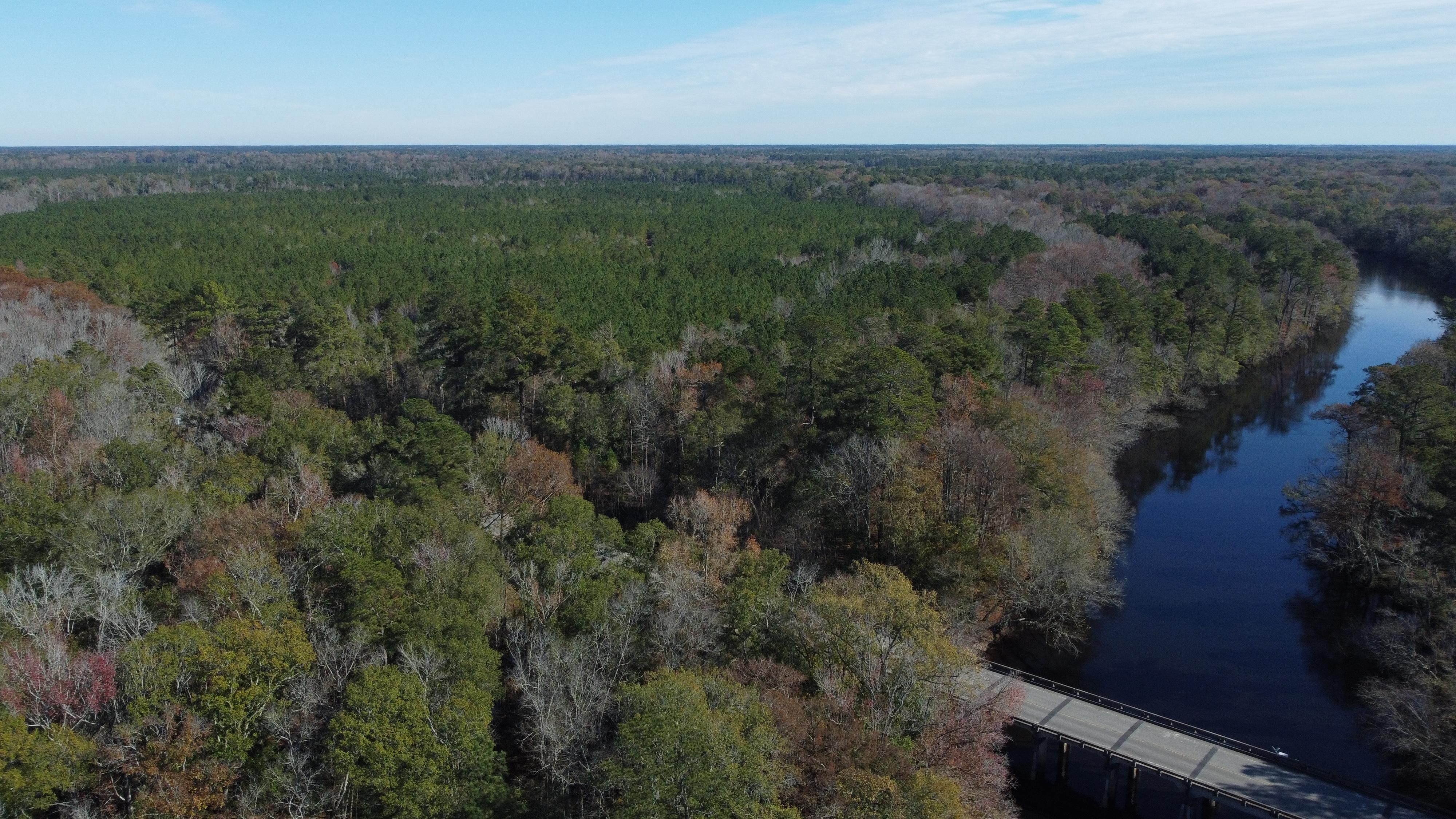 389 acres in Branchville, SC, 29432 LandWatch