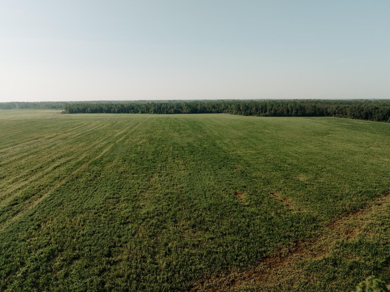 Leary, Calhoun County, GA Farms and Ranches for auction Property ID