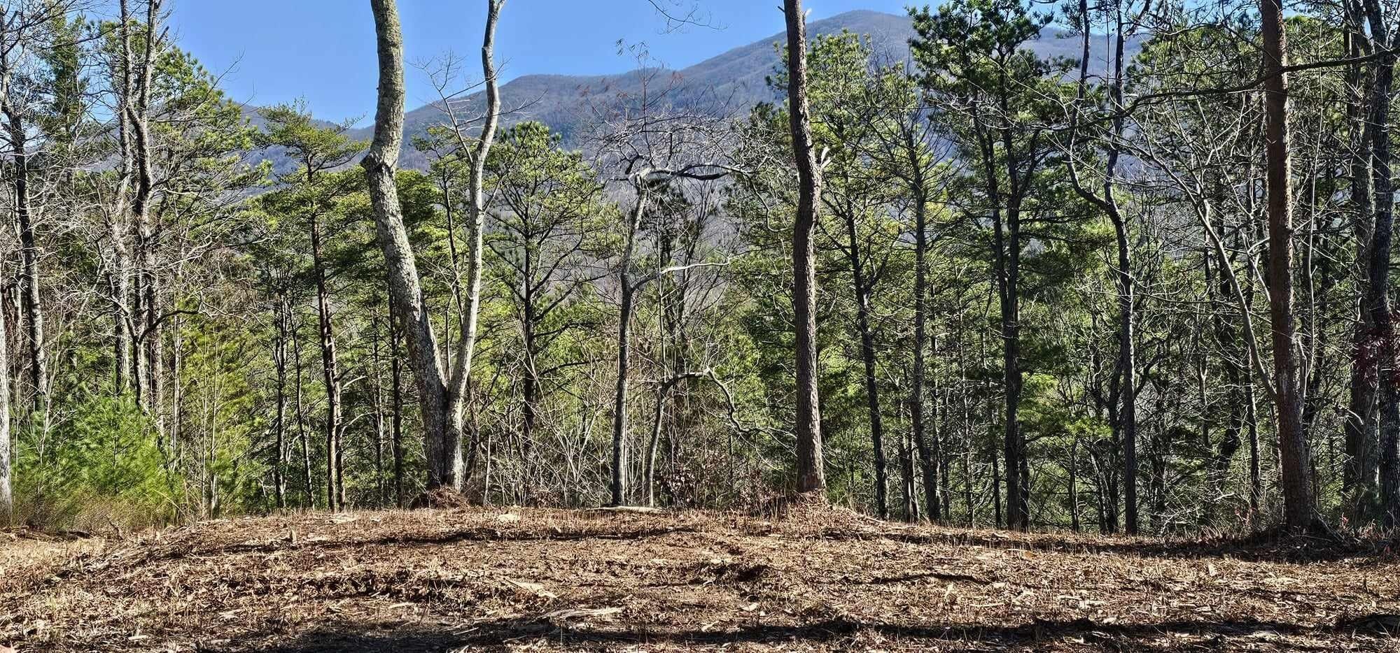 00 Lower Smithfield Road, Tellico Plains, TN 37385 MLS 20238501