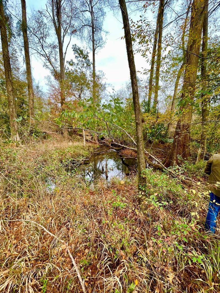 Gordon, Houston County, AL for sale Property ID 418510950 LandWatch