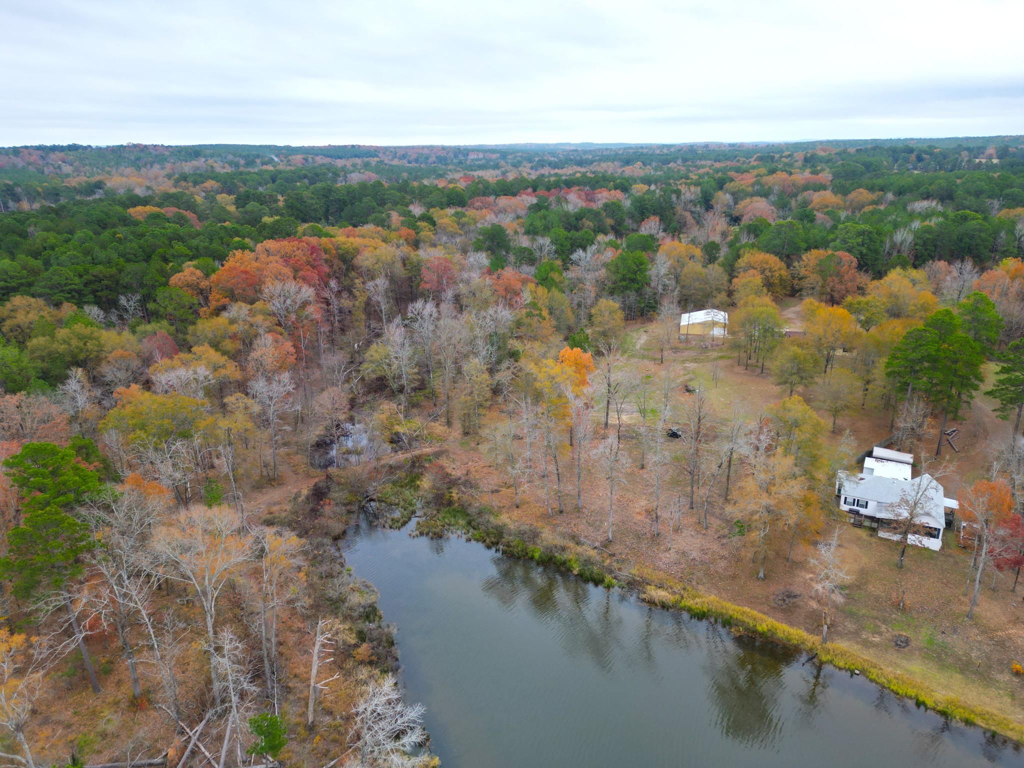 Jefferson, Marion County, TX Recreational Property, Undeveloped Land