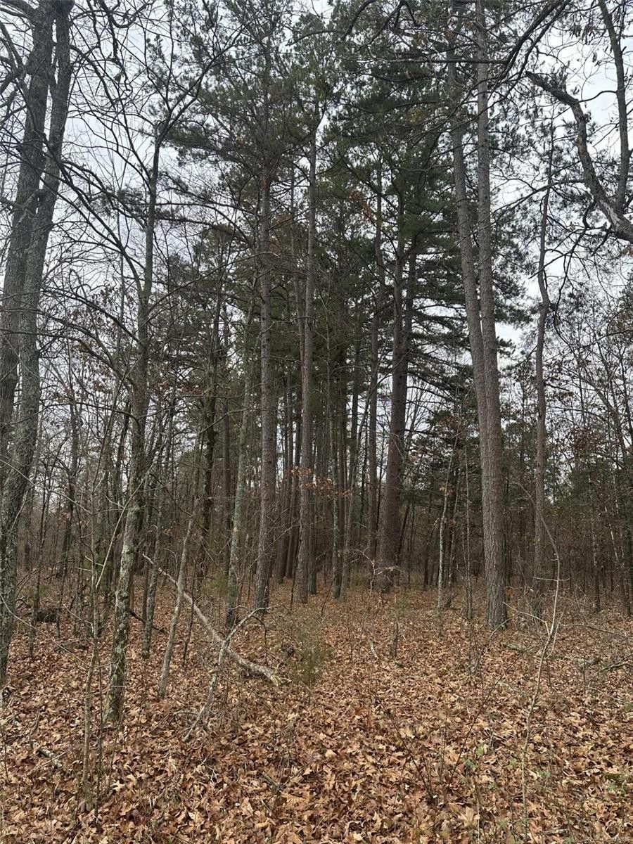 Doniphan, Ripley County, MO Farms and Ranches for sale Property ID