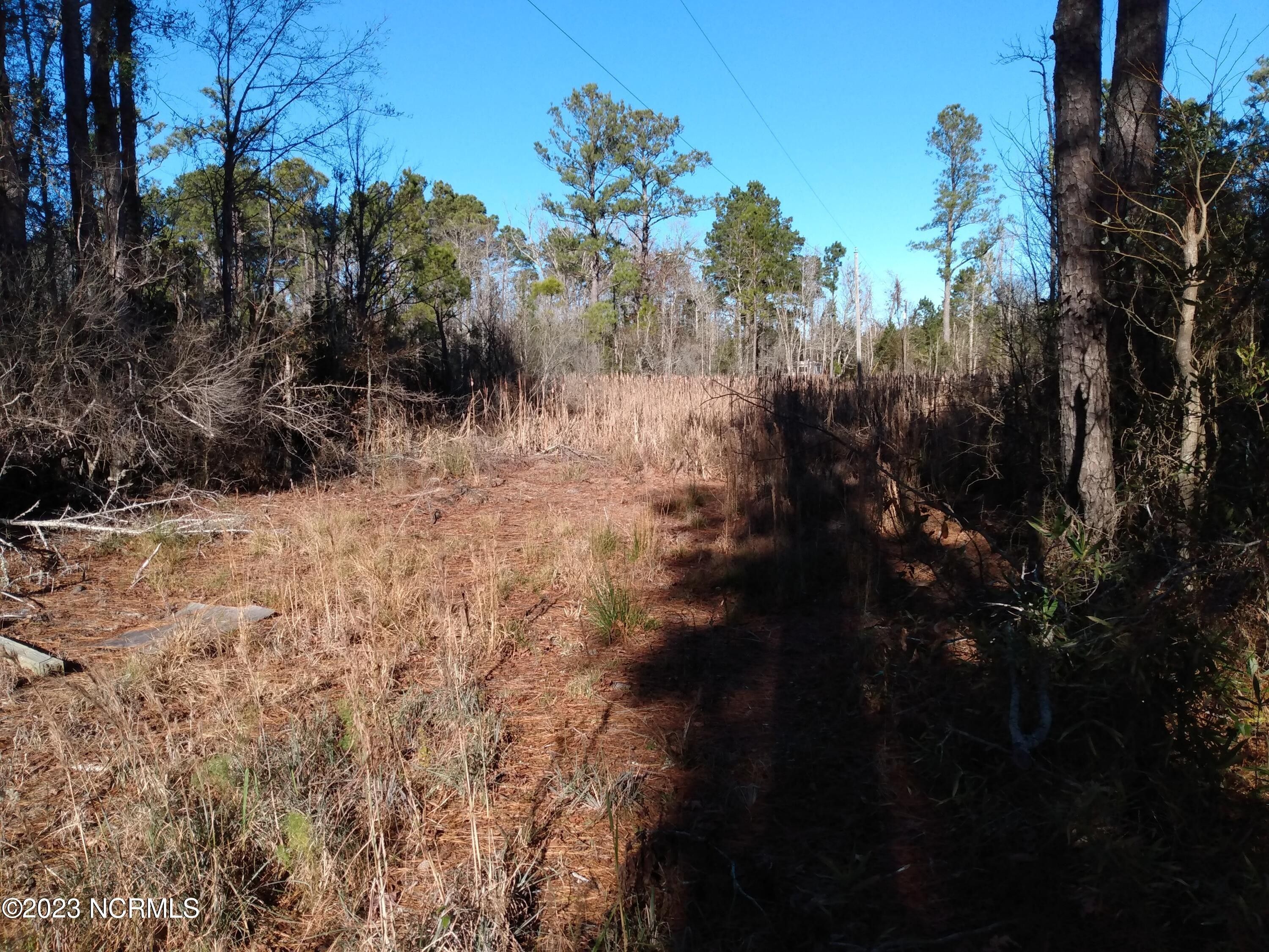 Columbia, Tyrrell County, NC Undeveloped Land, Homesites for sale