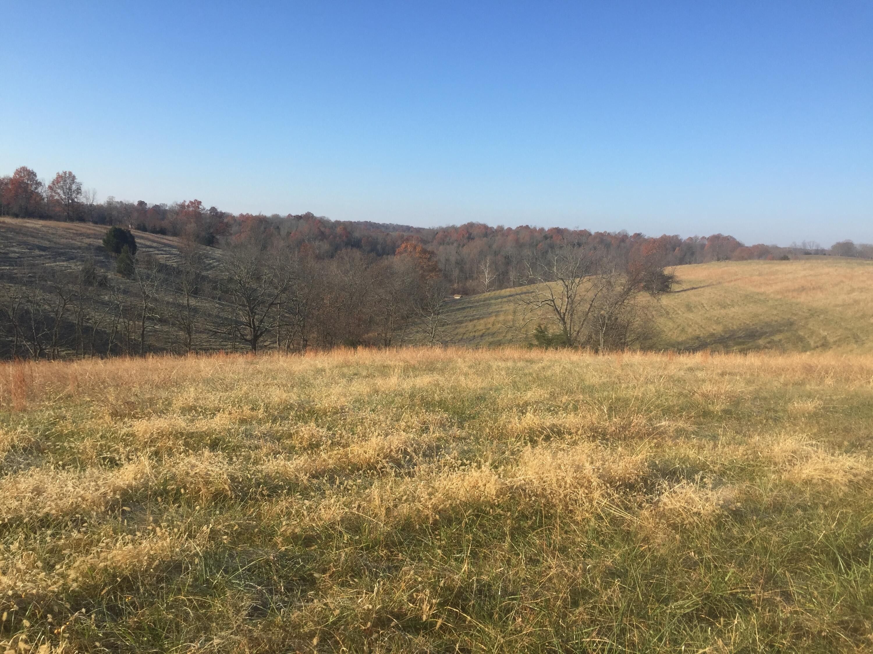 Sadieville, Scott County, KY Undeveloped Land for sale Property ID