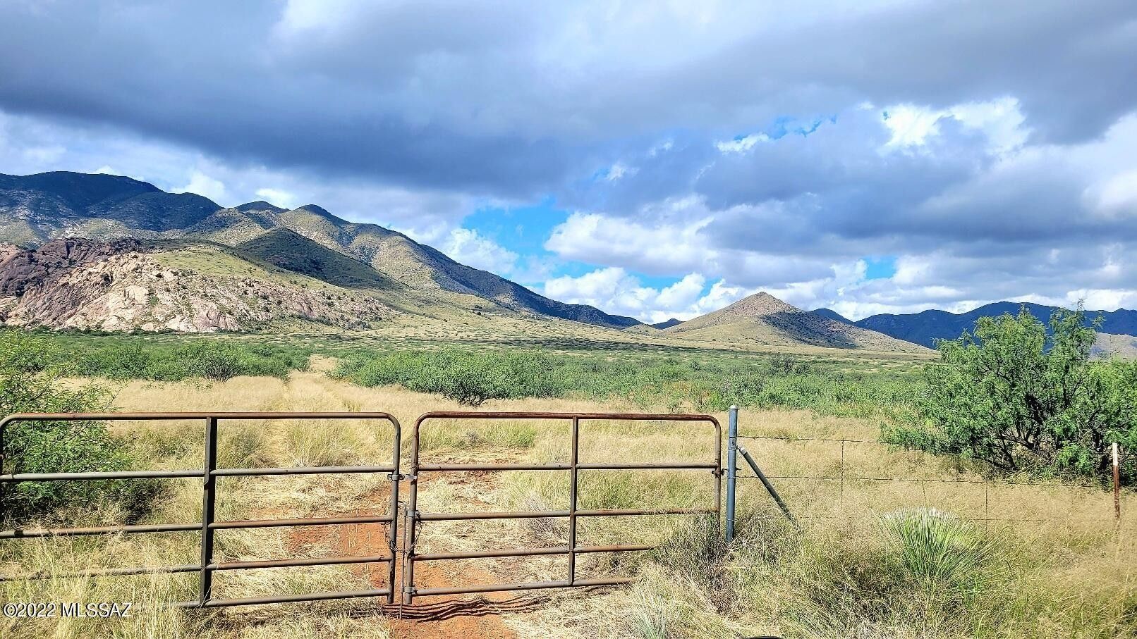 Cochise, Cochise County, AZ Undeveloped Land for sale Property ID