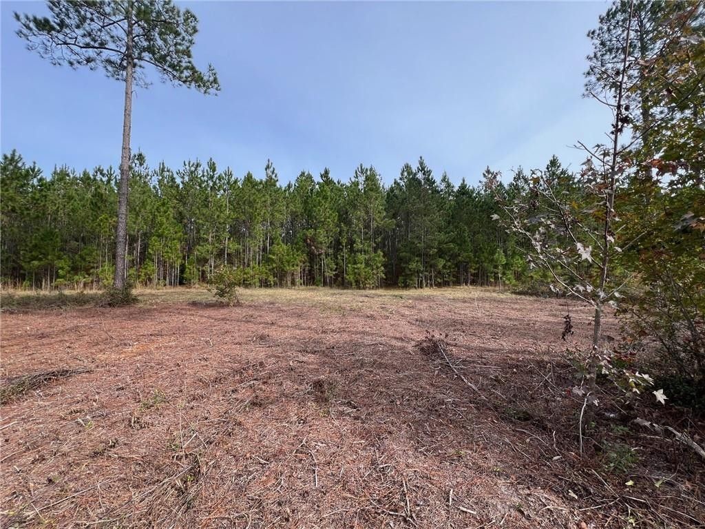 Brunswick, Glynn County, GA Undeveloped Land, Homesites for sale Property ID 418514487 LandWatch