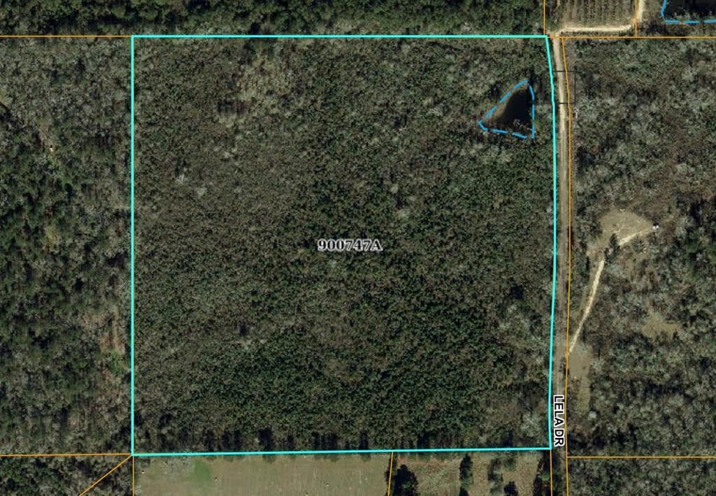 Magnolia, Pike County, MS Undeveloped Land for sale Property ID
