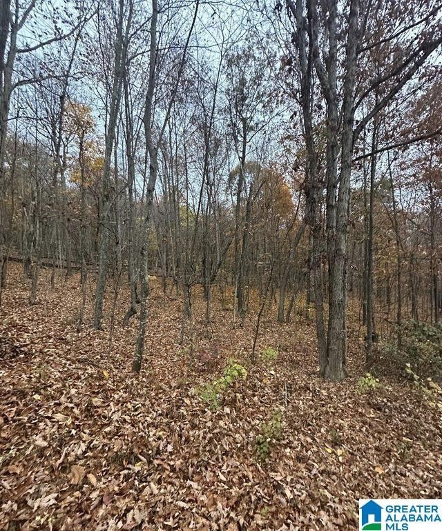 Pinson, Blount County, AL Undeveloped Land, Homesites for sale Property