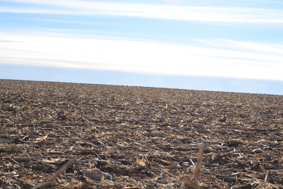 Egan, Moody County, SD Farms and Ranches for auction Property ID