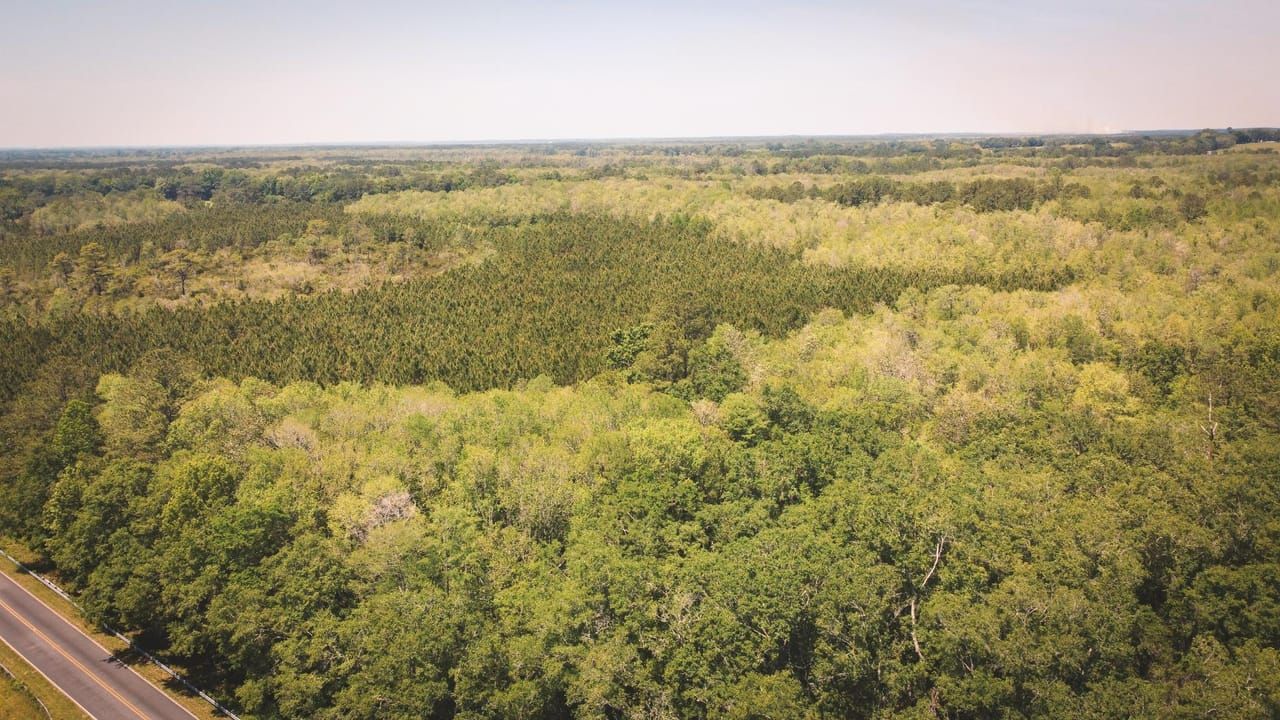 184 acres in Greenville, FL, 32331 LandWatch