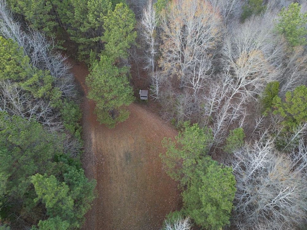 Ethelsville, Pickens County, AL Timberland Property, Hunting Property