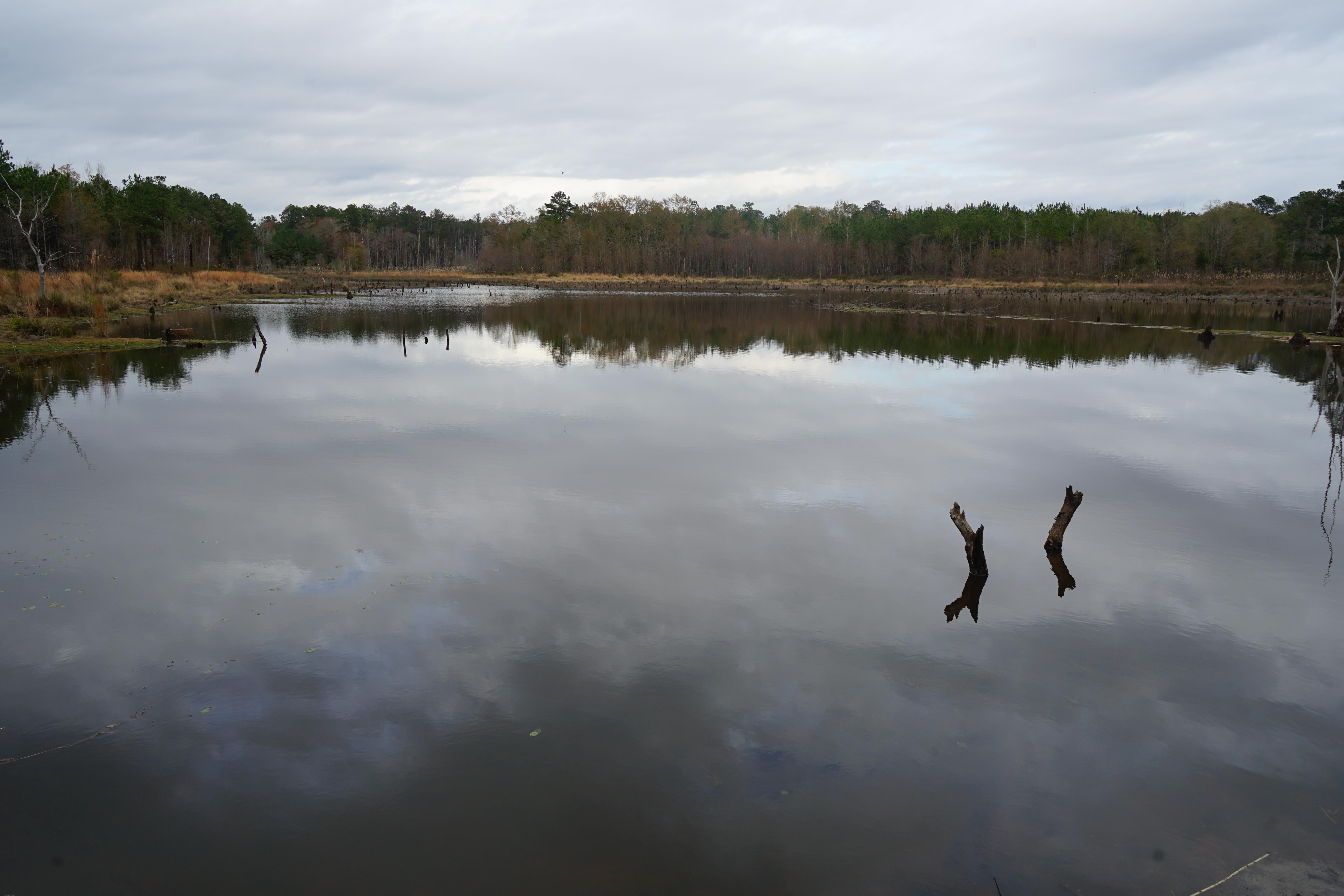 81 acres in AL, 36033 LandWatch