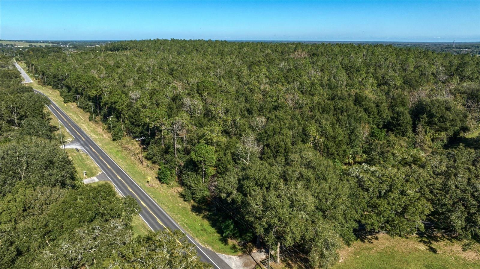 Dade City, Pasco County, FL Farms and Ranches, Timberland Property for