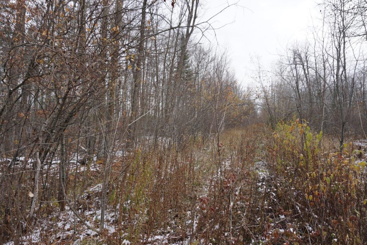 Mcgregor, Aitkin County, MN Undeveloped Land for sale Property ID