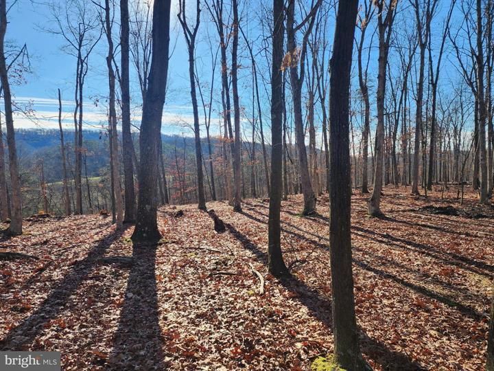 68 OLD FURNANCE ROAD, Ridgeley, WV 26753 MLS WVMI2002284 LandWatch