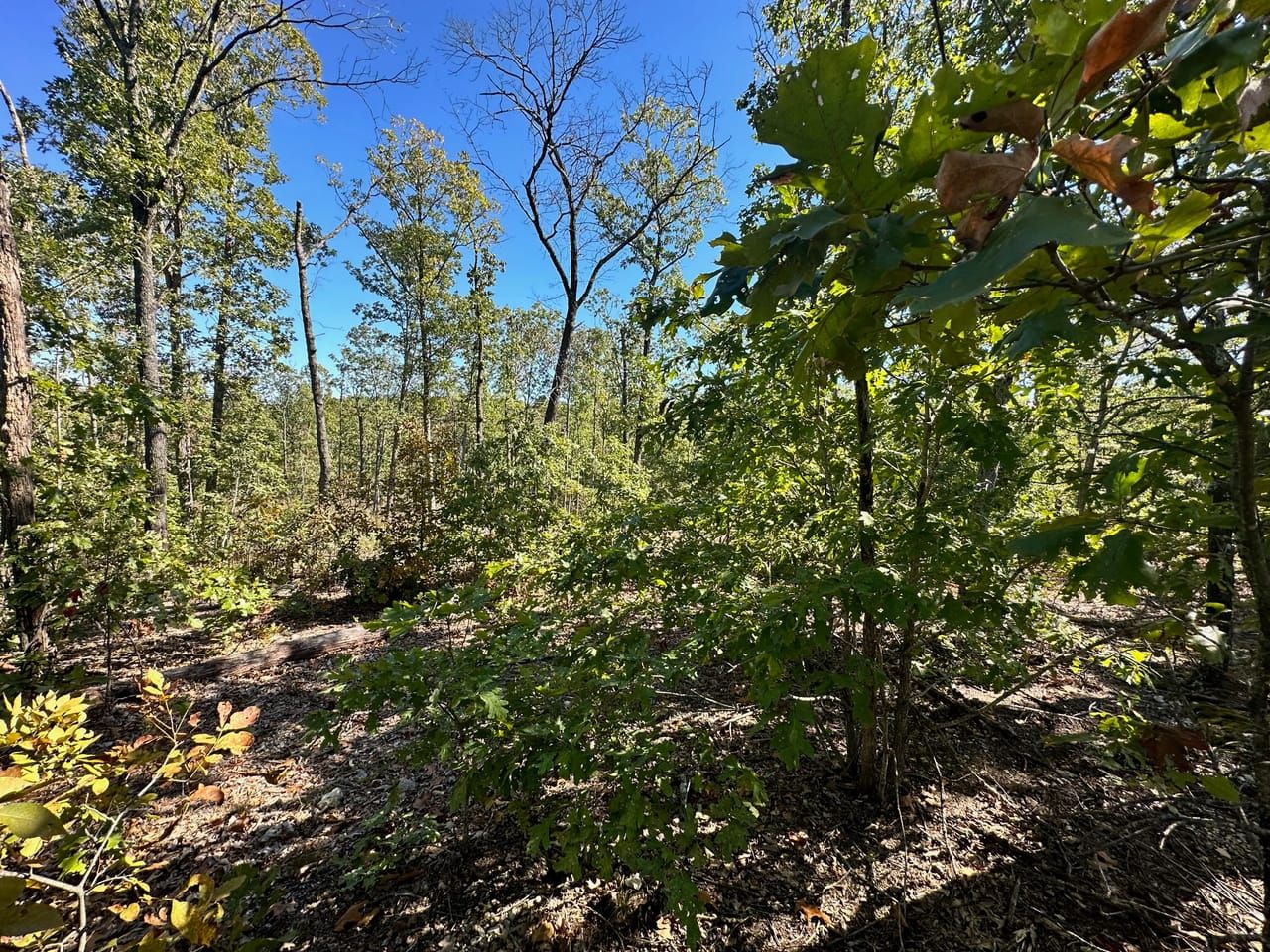 TBD Highway HTract 1B, Elk Creek, MO 65464 LandWatch