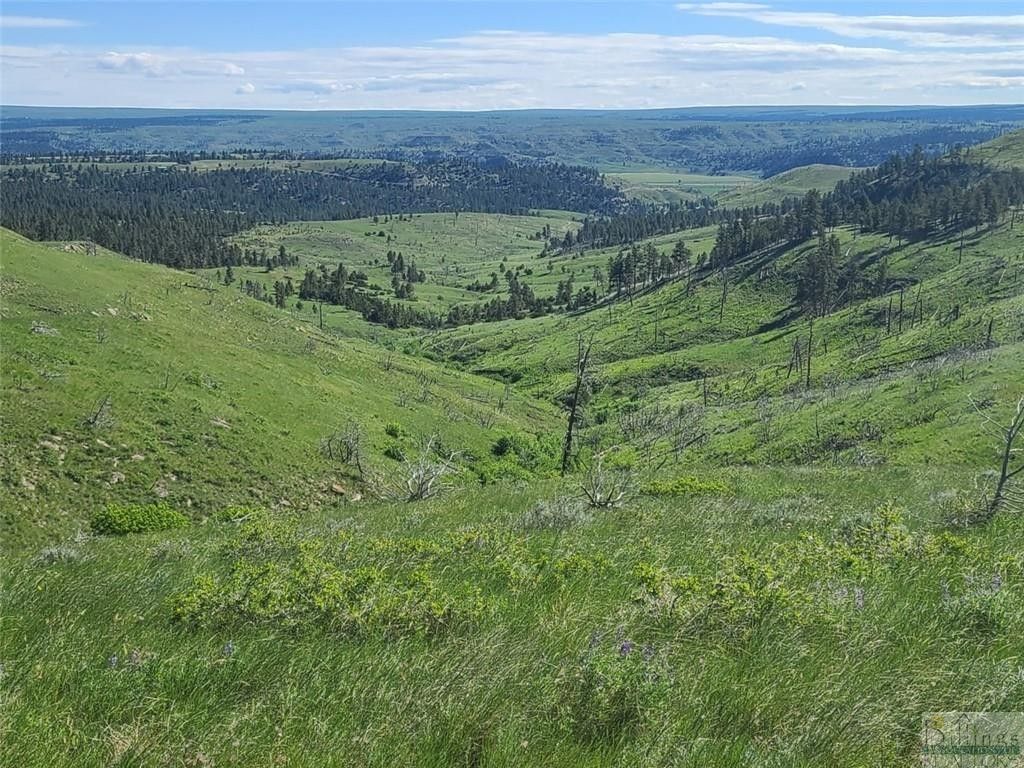 Columbus, Stillwater County, MT for sale Property ID 418518554 LandWatch