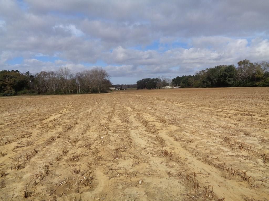 Blakely, Early County, GA Undeveloped Land for sale Property ID