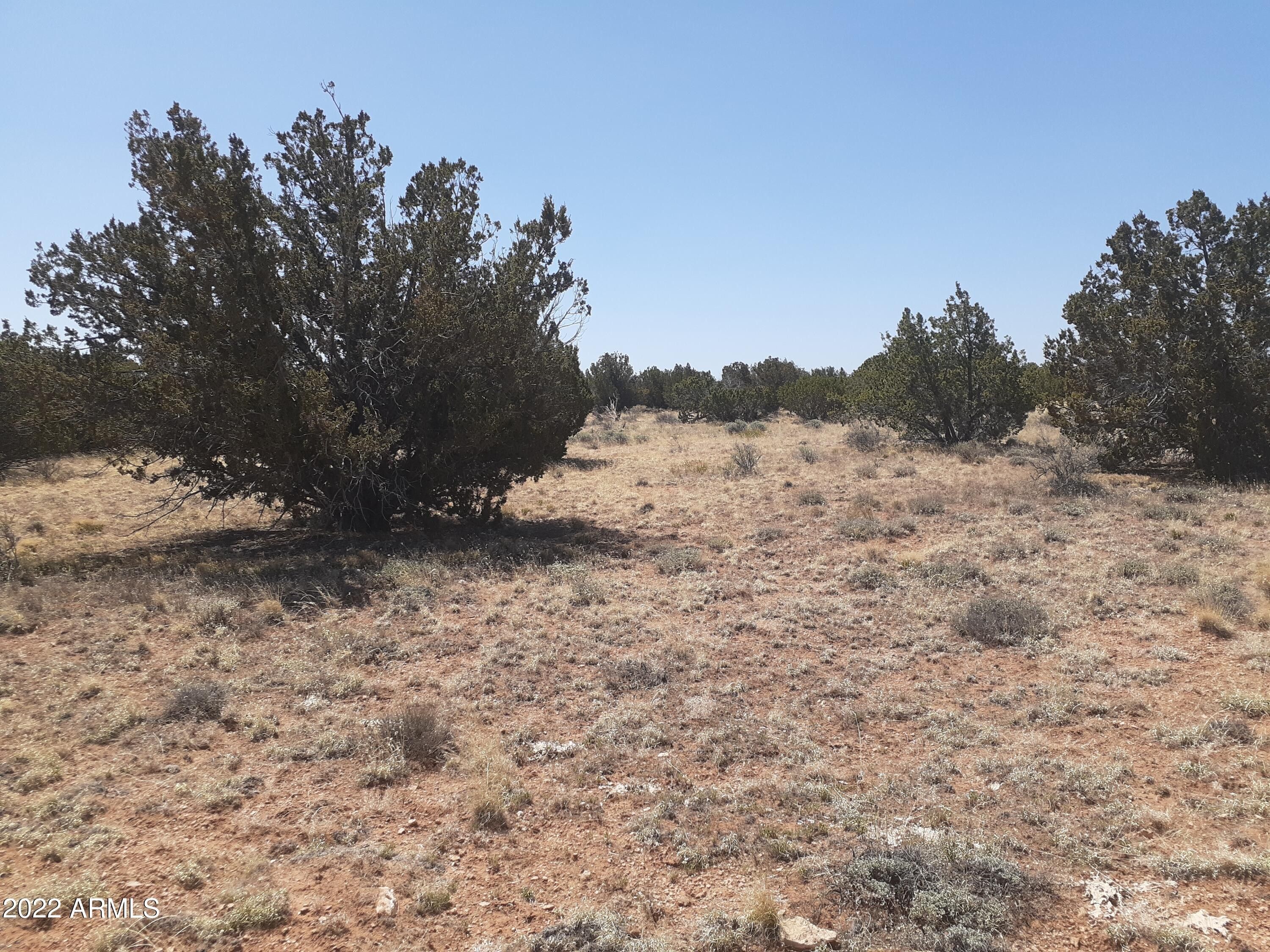 Heber, Navajo County, AZ Undeveloped Land for sale Property ID