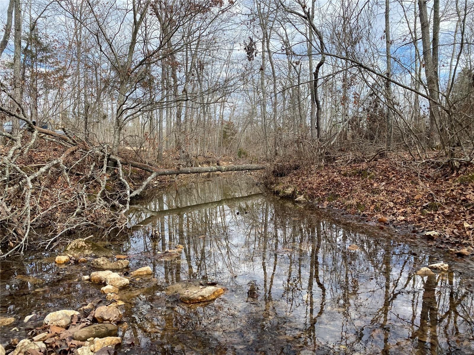 Annapolis, Reynolds County, MO Farms and Ranches for sale Property ID