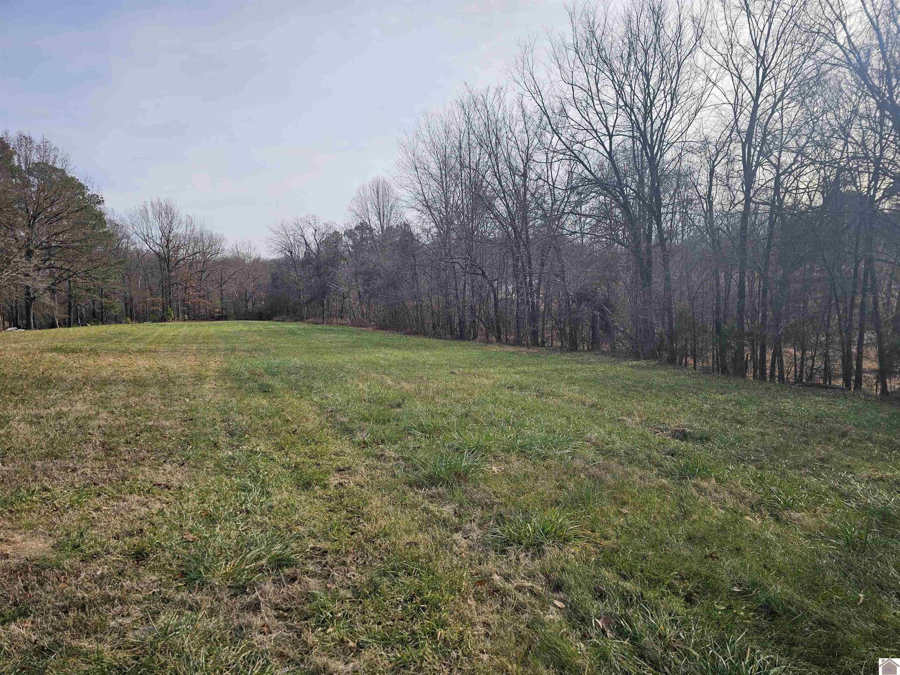 Paducah, McCracken County, KY House for sale Property ID 418523049