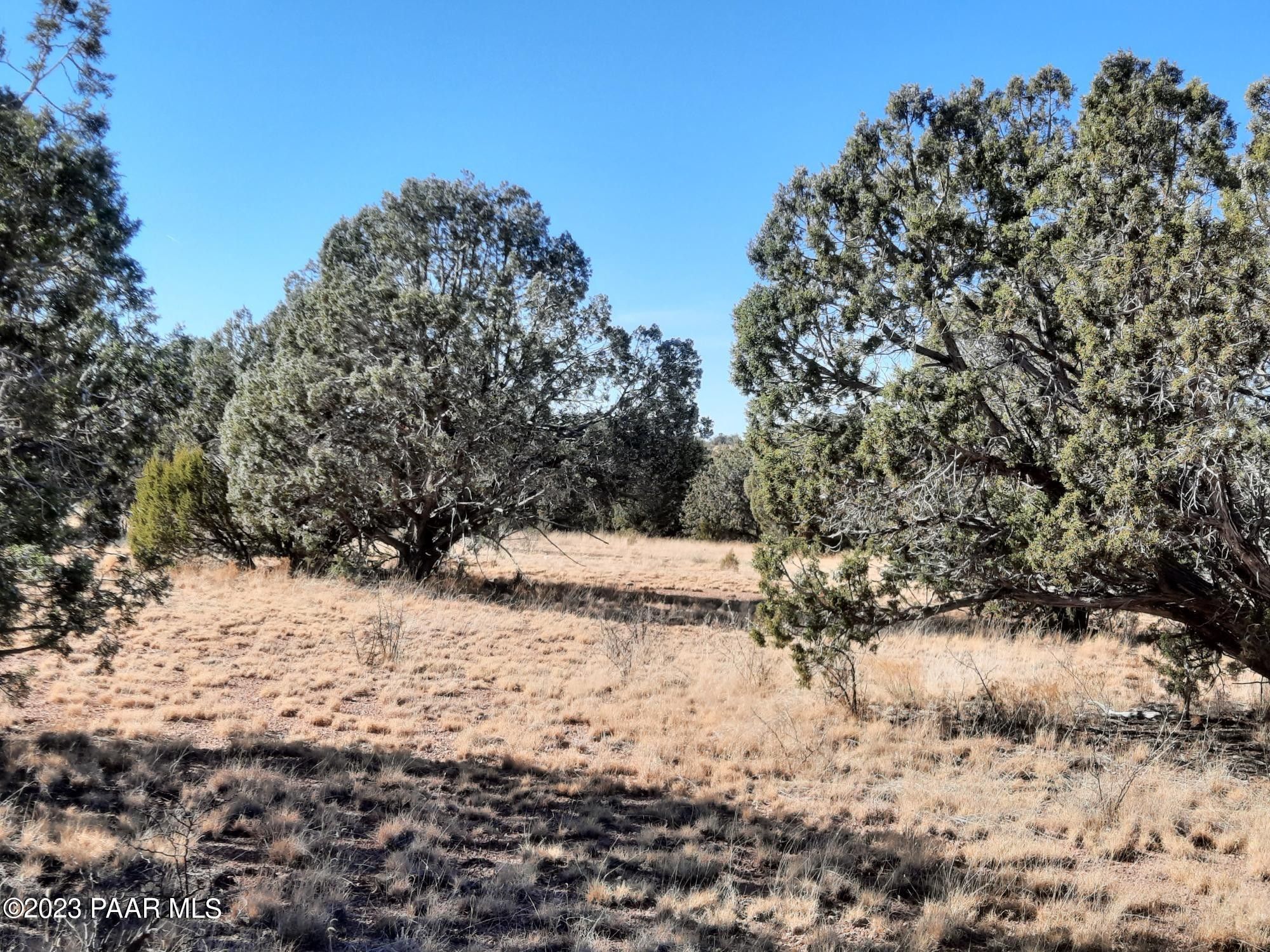 Seligman, Yavapai County, AZ Undeveloped Land for sale Property ID