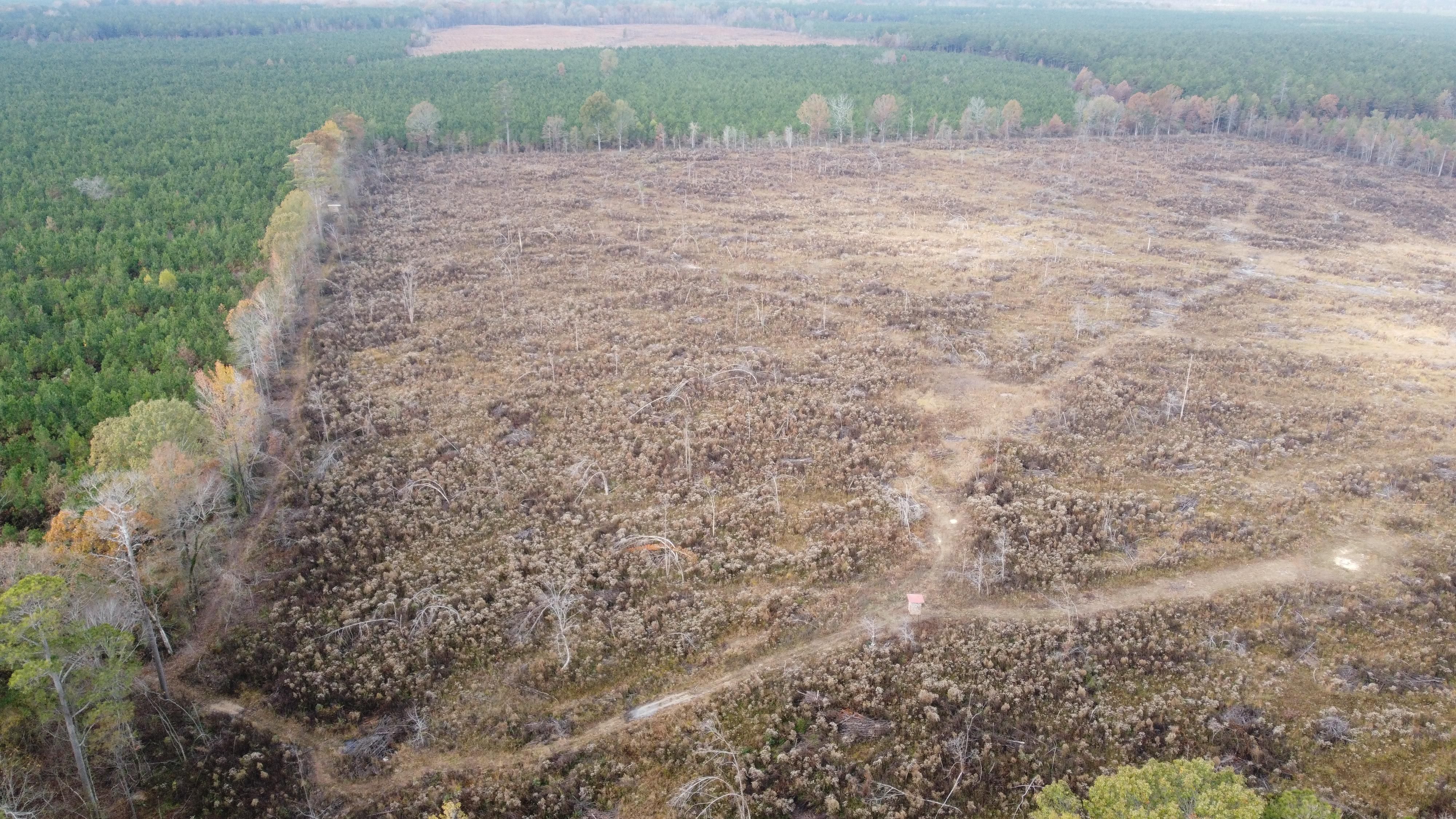 Weiner Dirt Rd, Montrose, AR 71658 LandWatch