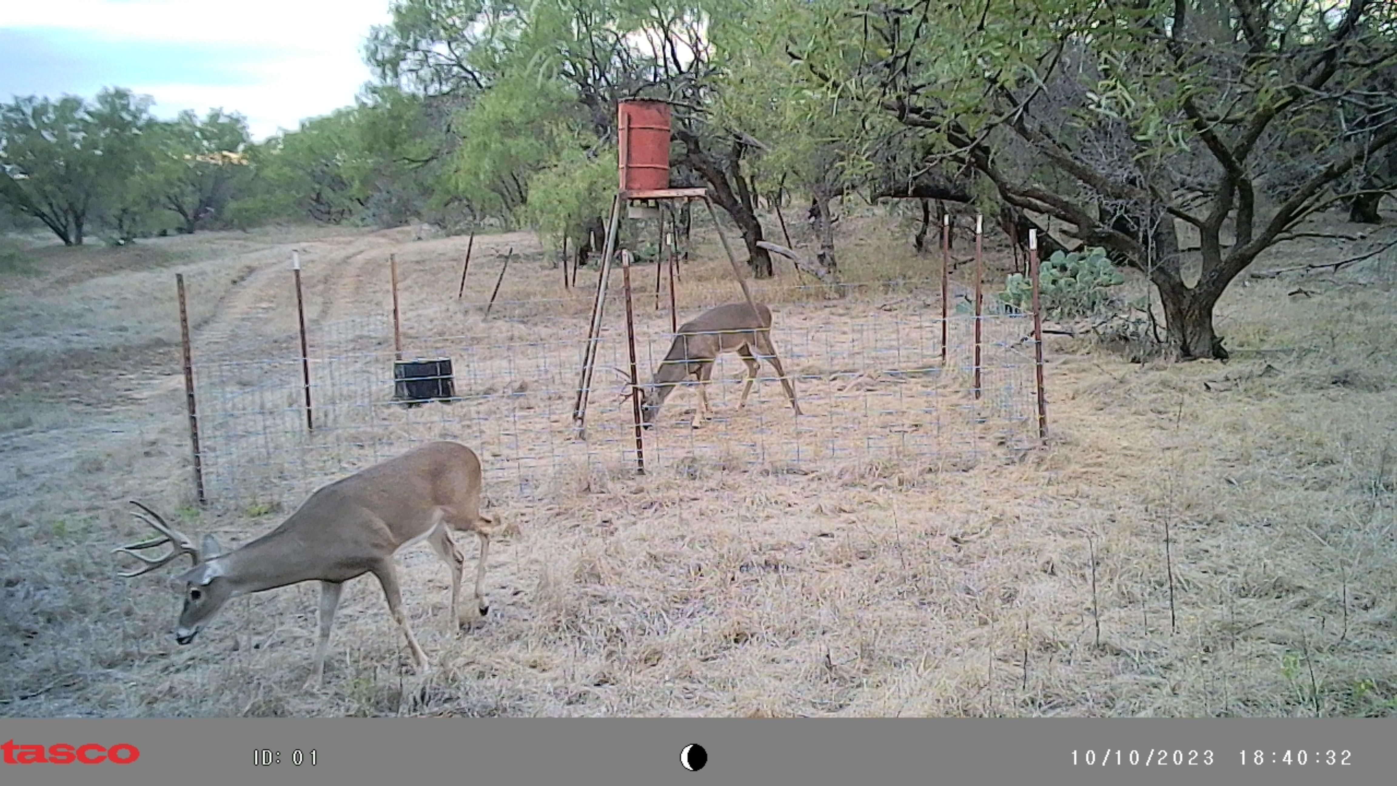 22 acres in Newcastle, TX, 76372 MLS 20495643 LandWatch