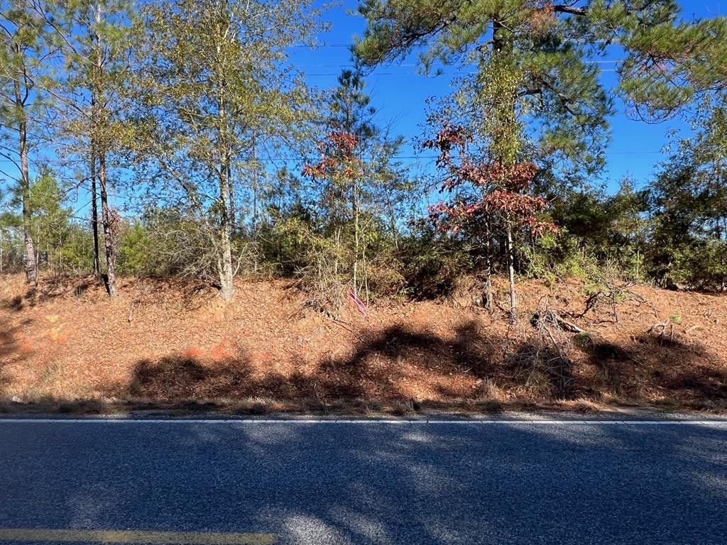 Osyka, Amite County, MS Undeveloped Land for sale Property ID