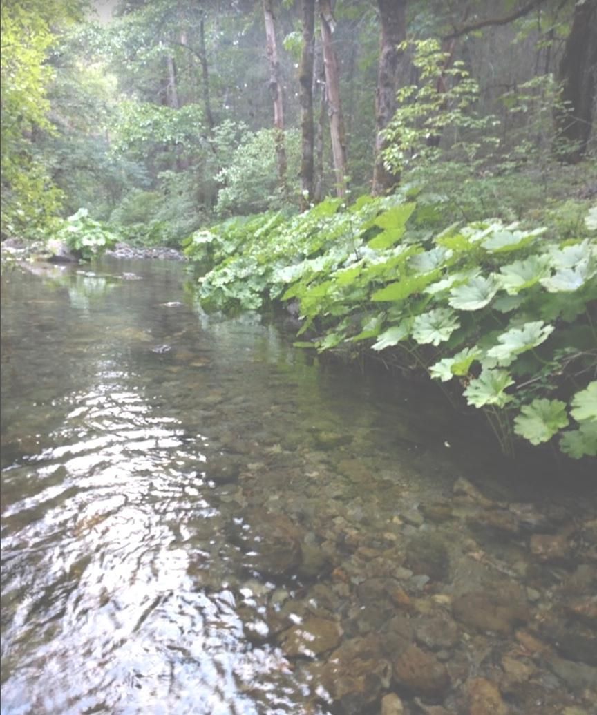 375 per month CA Mining Claim Ownership, Weaverville, CA 96048 LandWatch