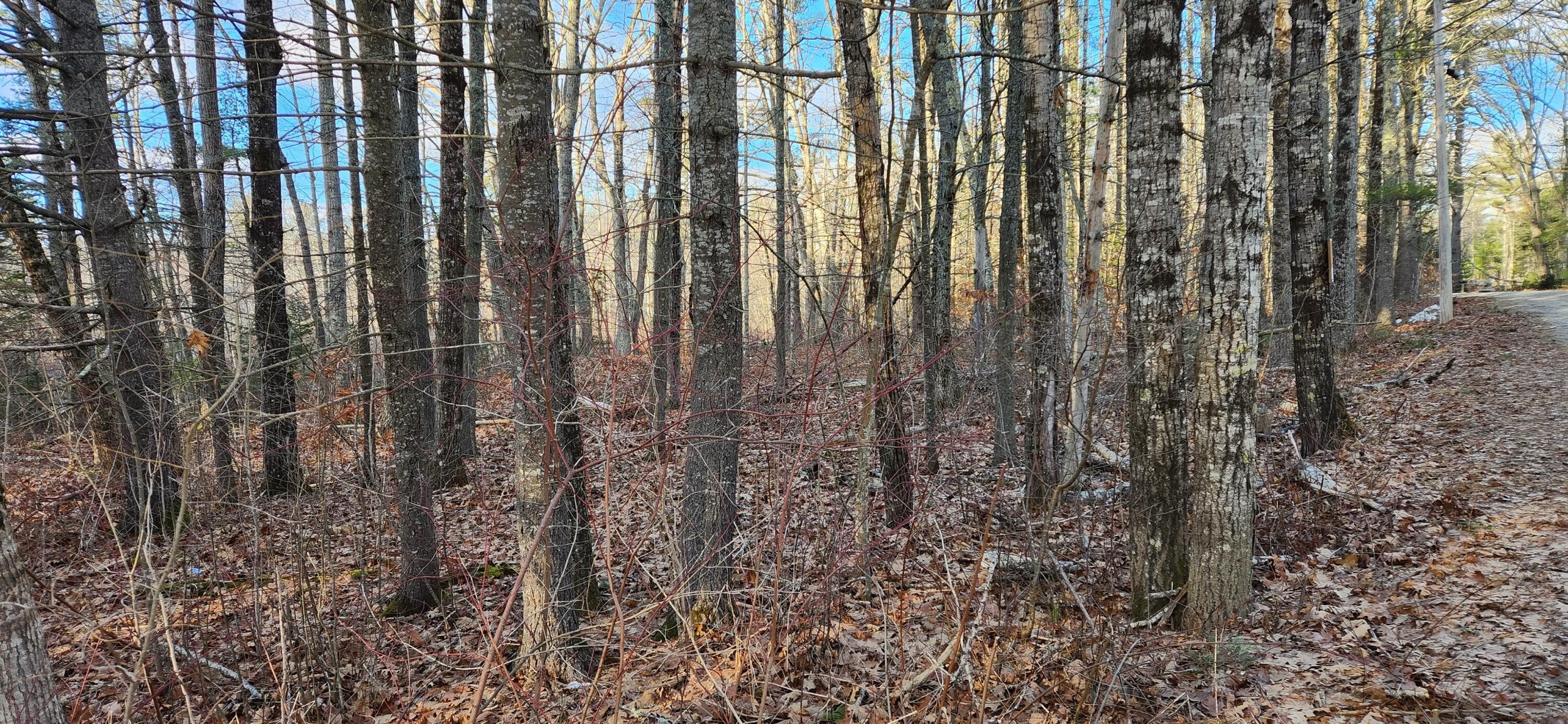 Somerville, Lincoln County, ME Undeveloped Land, Homesites for sale