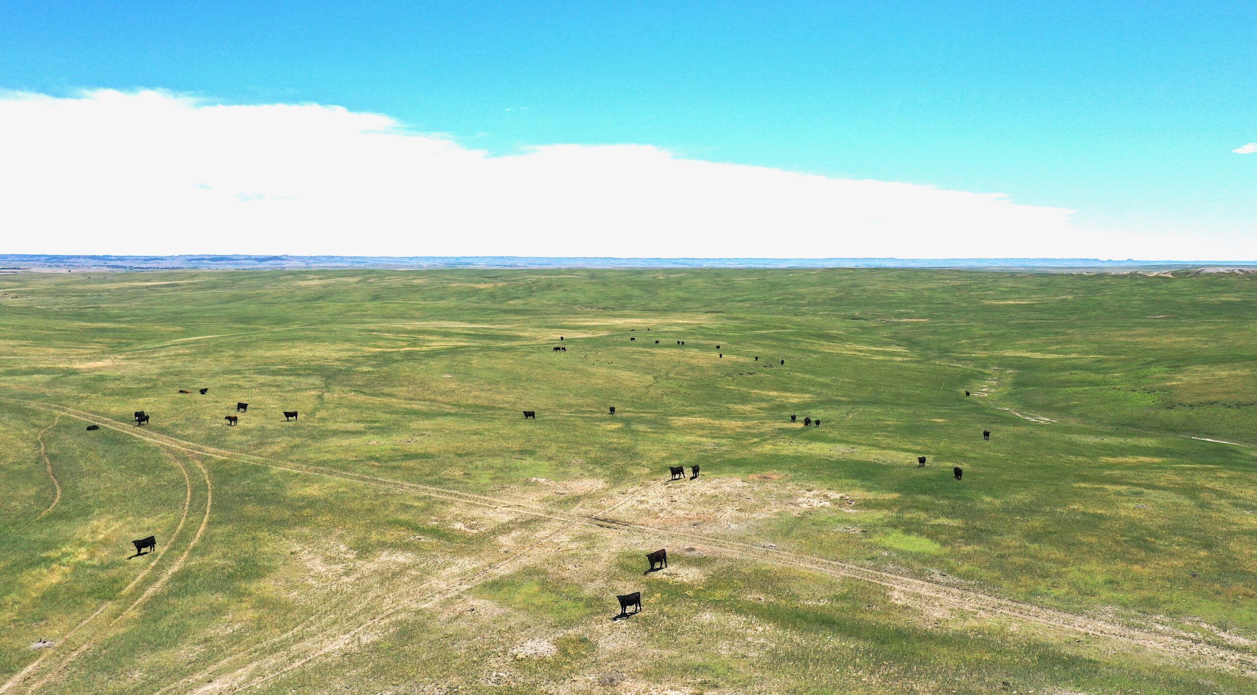 Chadron, Dawes County, NE Farms and Ranches, Hunting Property for sale