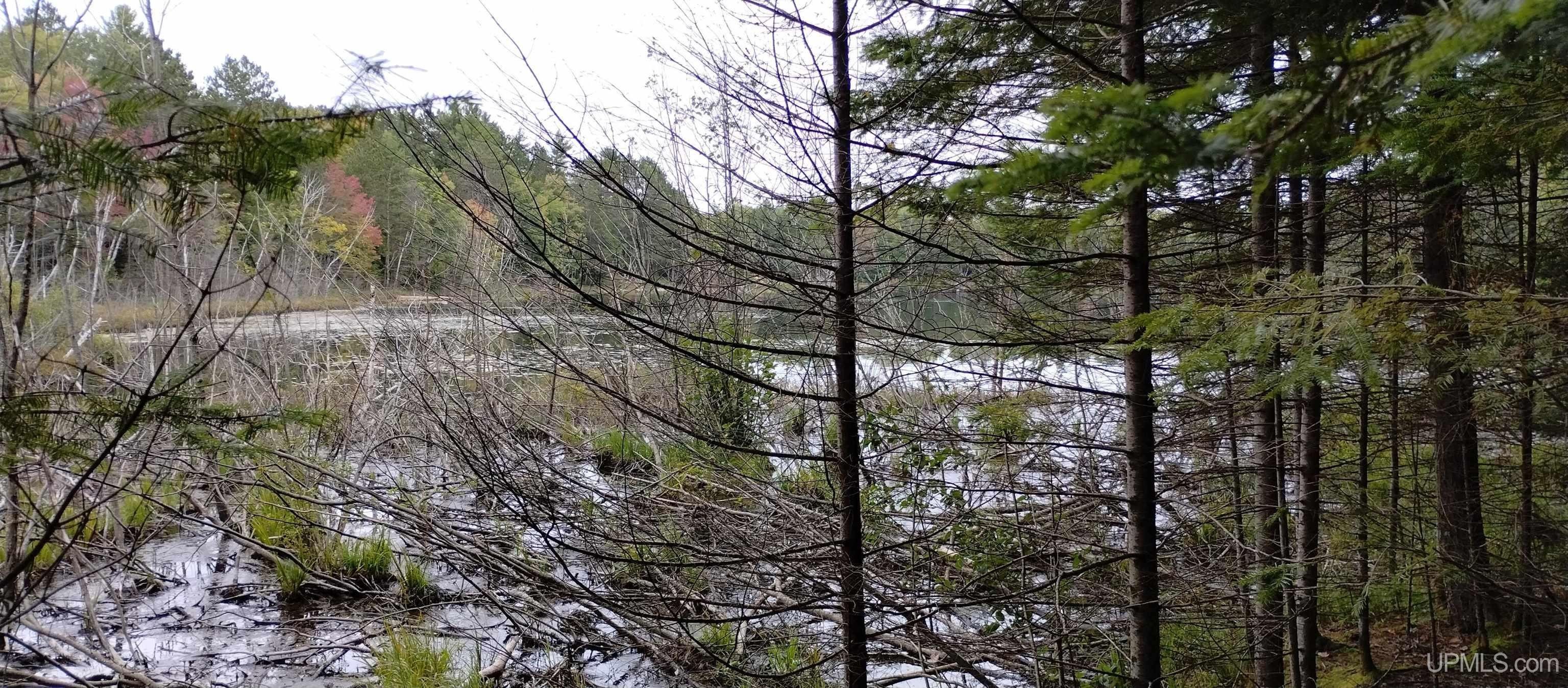 Gwinn, Marquette County, MI Undeveloped Land, Lakefront Property