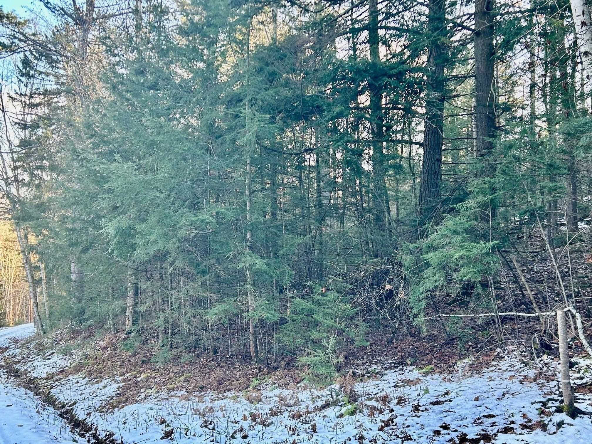 Haverhill, Grafton County, NH Undeveloped Land, Homesites for sale