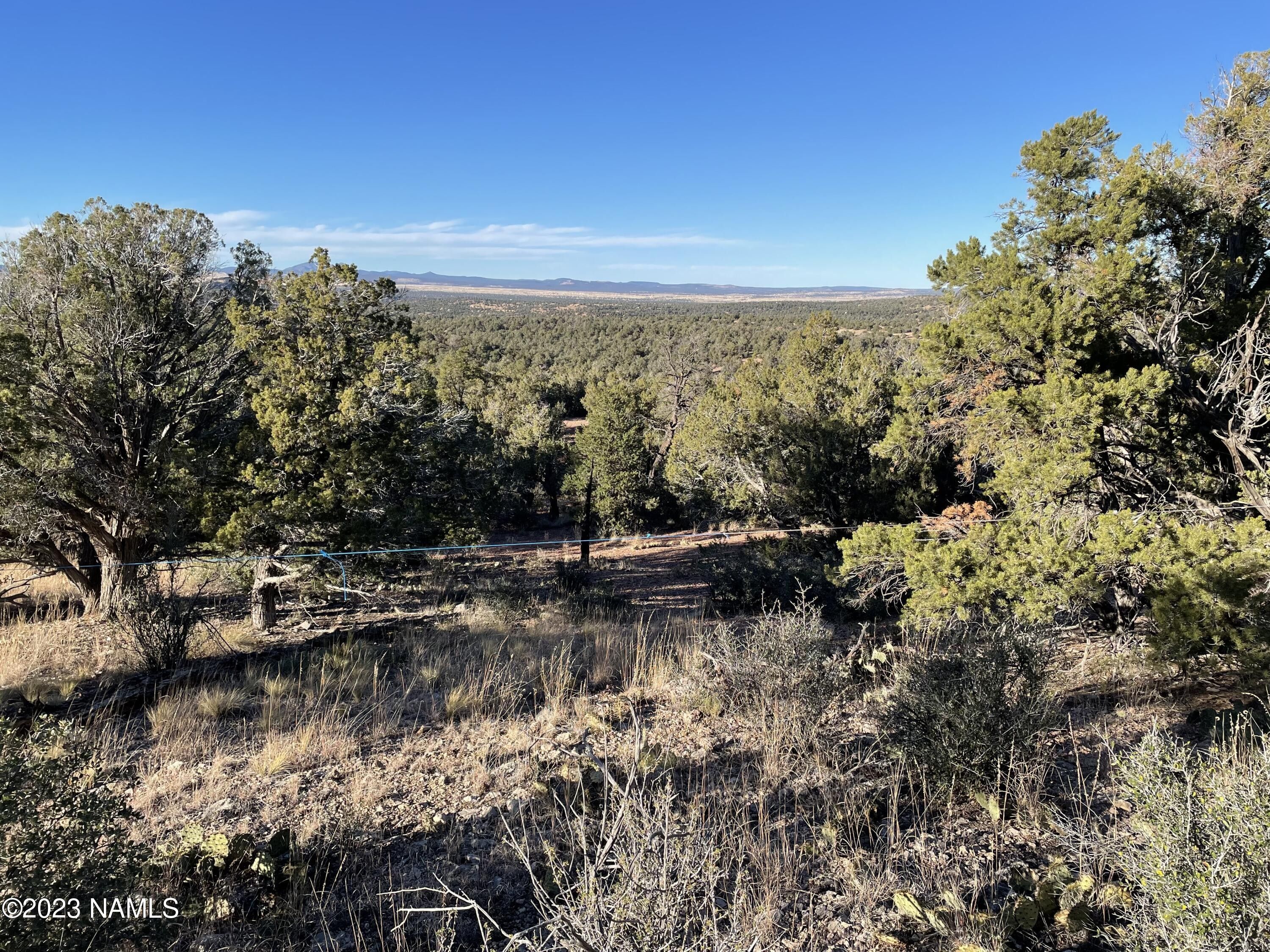 Ash Fork, Yavapai County, AZ Farms and Ranches for sale Property ID
