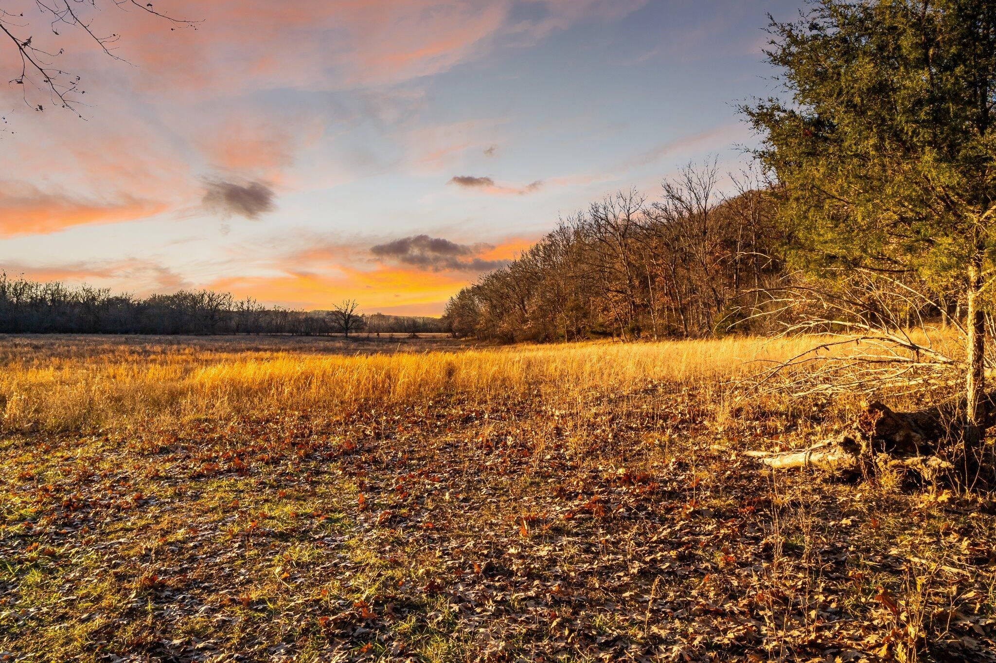 000 Pleasant Hill Road, Seymour, MO 65746 MLS 60258264 LandWatch