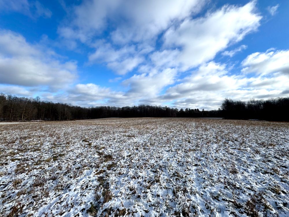 N2202 Four Oaks Road, Brantwood, WI 54513 MLS Price 80 LandWatch